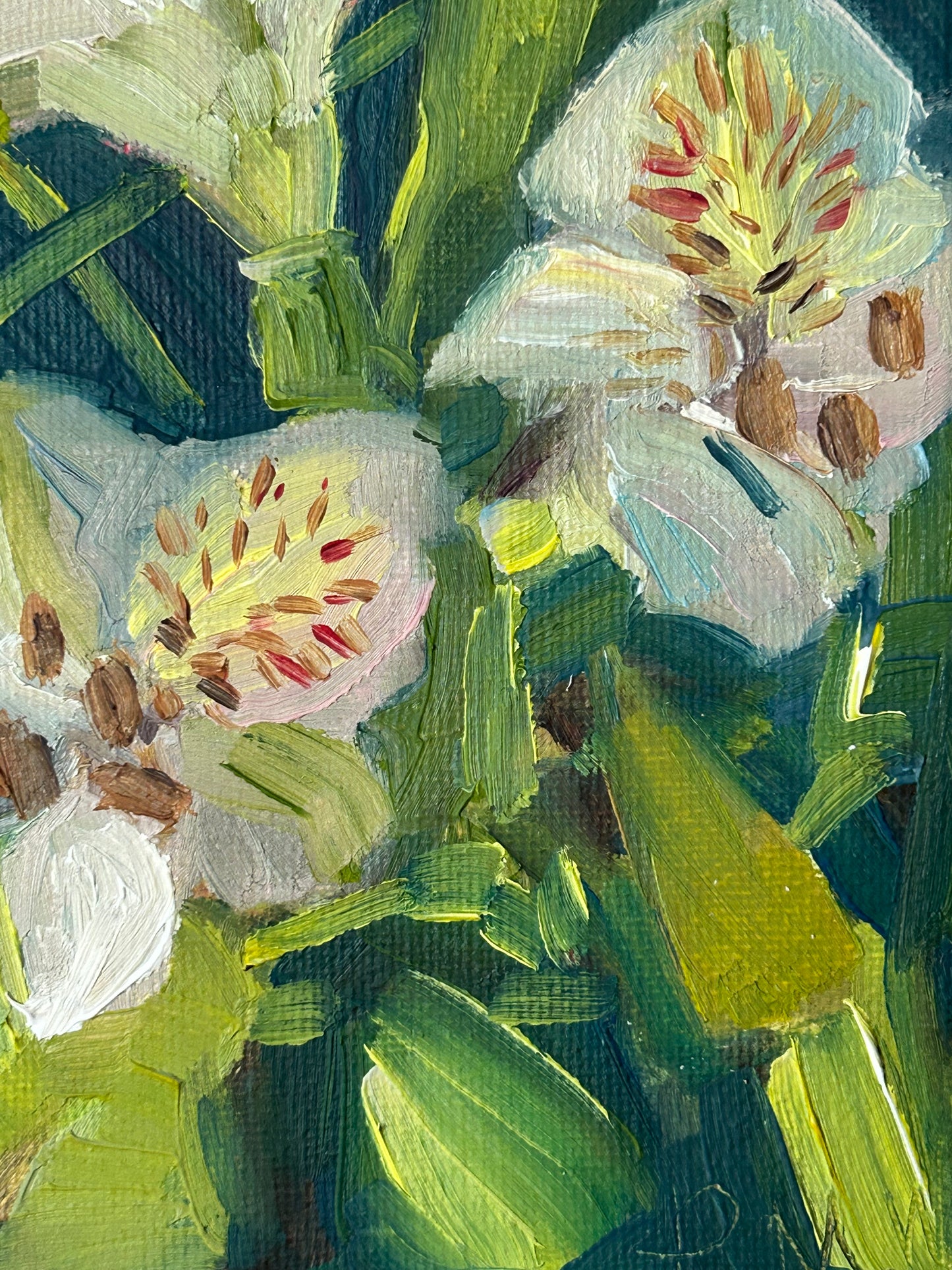Gifted flowers