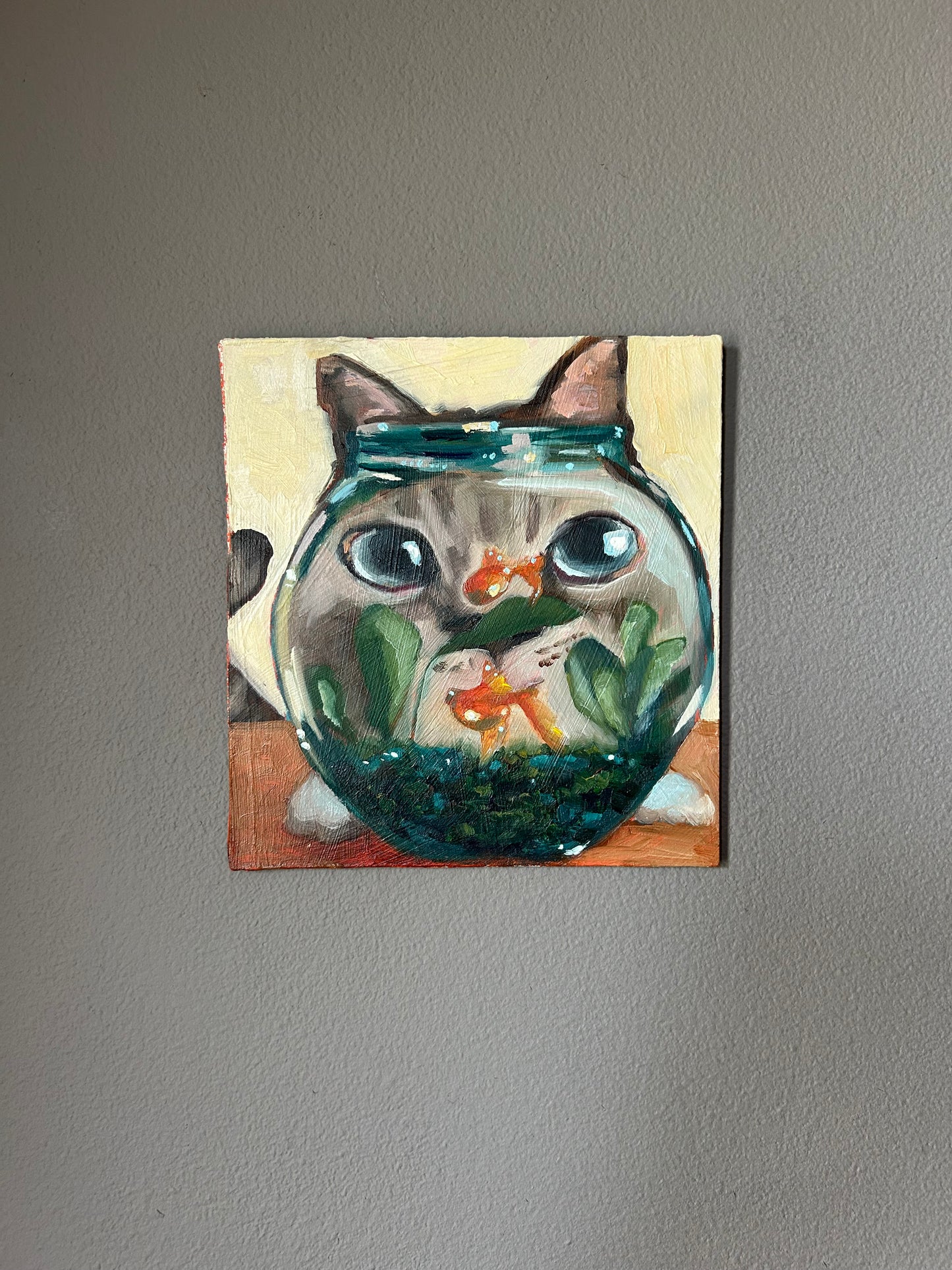 Curious cat and a fishbowl