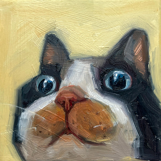 Heavy breathing, oil